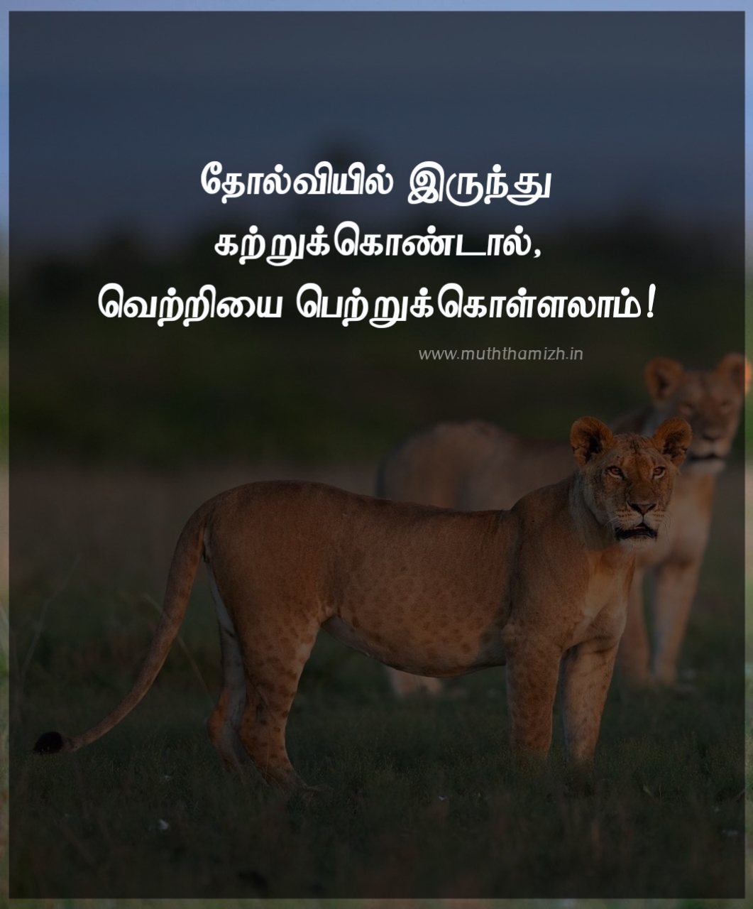 Short victory tamil quotes